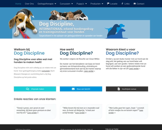 Dog Discipline Logo